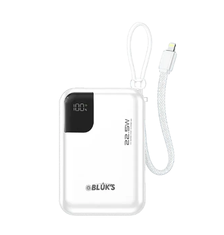 Bluks BX-308 SwiftCharge Bank 20000mAh