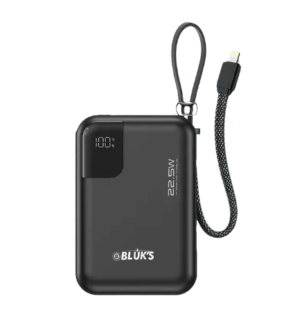 Bluks BX-308 SwiftCharge Bank 20000mAh